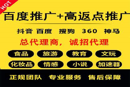 百度竞价推广成功案例解析